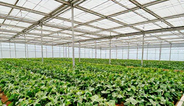 云迁移解决方案适用场景与限制分析